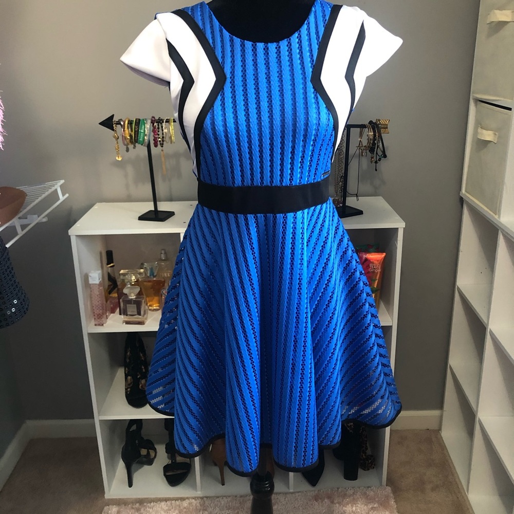 Sean John xl cute blue & white fit to flare dress